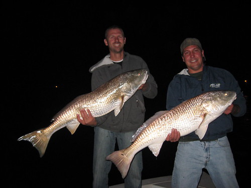 steve and Don doubled up Red's