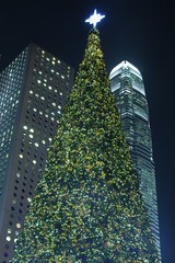 Hong Kong - Christmas Tree 2008 by cnmark