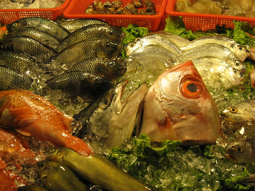 Fishhead in Hauxi Night Market