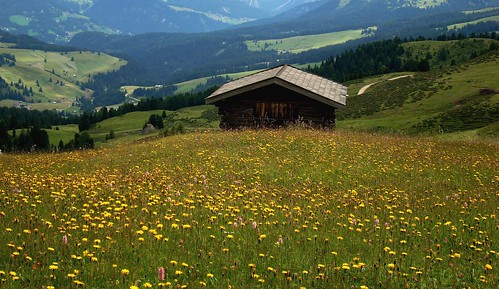 Alpe 2008