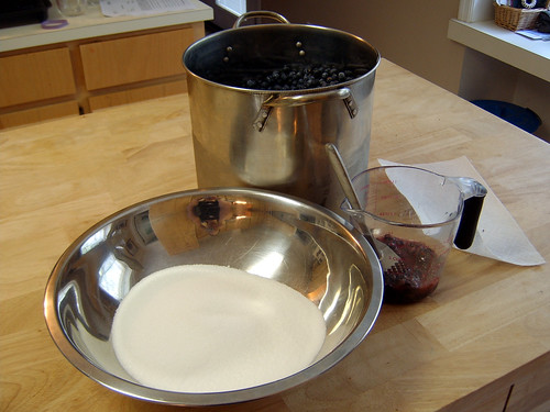 Getting ready to make blueberry jam