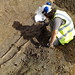 Adrian digging a skelly