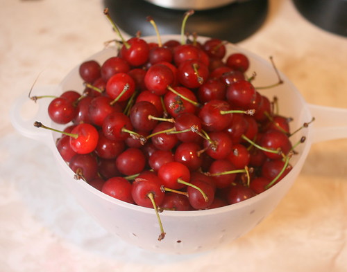 New York State sour cherries