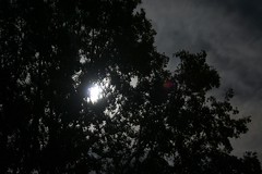 Full Moon in the Back Yard by fusionmonkey