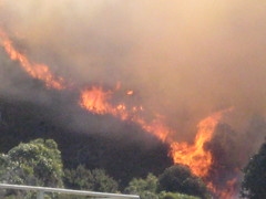 Bushfire at Sisters Beach 2, Tasmania, 19/10/08