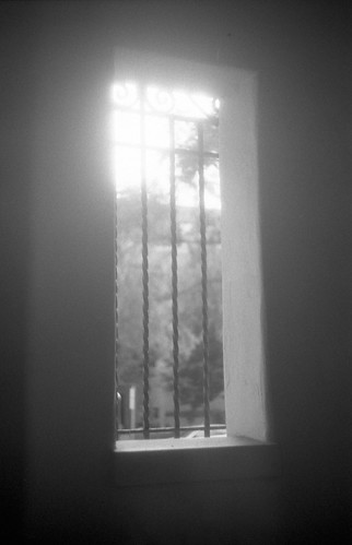 through the window