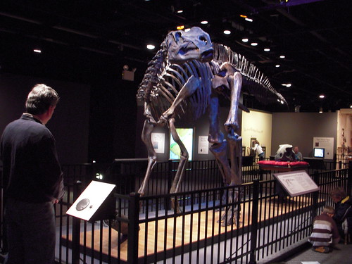 Hadrosaurus Foulkii