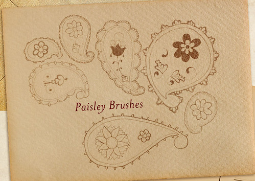 Paisley brushes