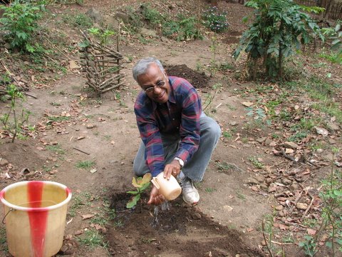 KM planting a sapling kgudi 170308