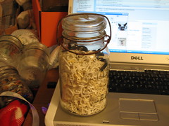 Jar of Letters