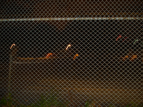 the fence looks good with a flash