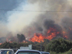 Bushfire at Sisters Beach 4, Tasmania, 19/10/08