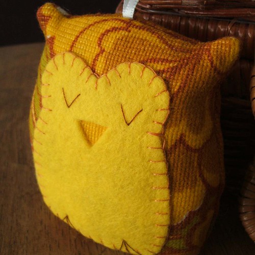 sleepy owl in mellow yellow