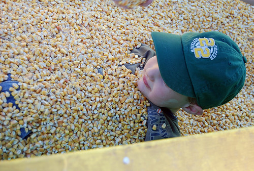 covered in corn