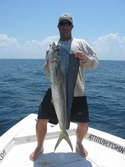 Capt. Eric M. light tackle Dolphin