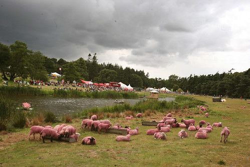 Latitude 08: Field of pink sheep