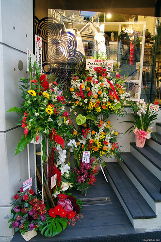 ScoLar Shop Flowers