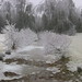 Walking Path During New England Ice Storm 2008 by mccready