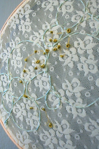 Transparency- embroidery