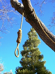 Get a rope!  Hangman's noose hanging from the ...
