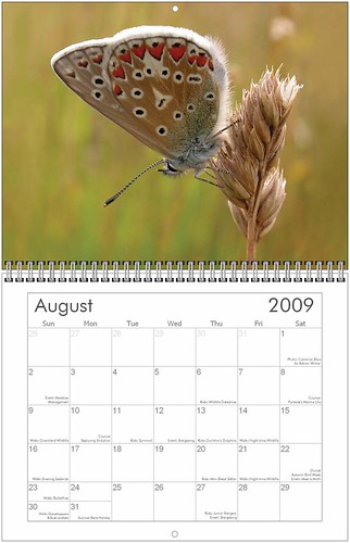 2009 october calendar. Durlston Calendar 2009 - October | Flickr - Photo Sharing!