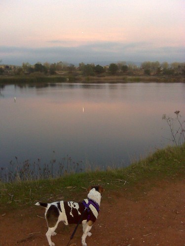Abby @ Willow Hills Reservoir