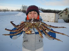 I like snow crab!