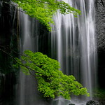 Tatsuzawa-fudoh Falls