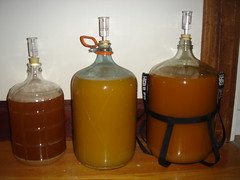 14 Gallons of Cider!