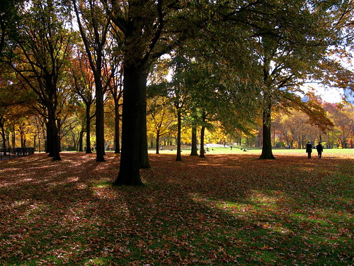 Fall in the Park, 3