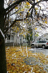 Toilet Paper TP - Tee Pee a House IMG_7642