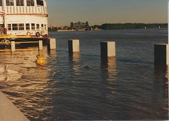 Flooding on the Ohio River. Louisville Kentucky. May 1990.