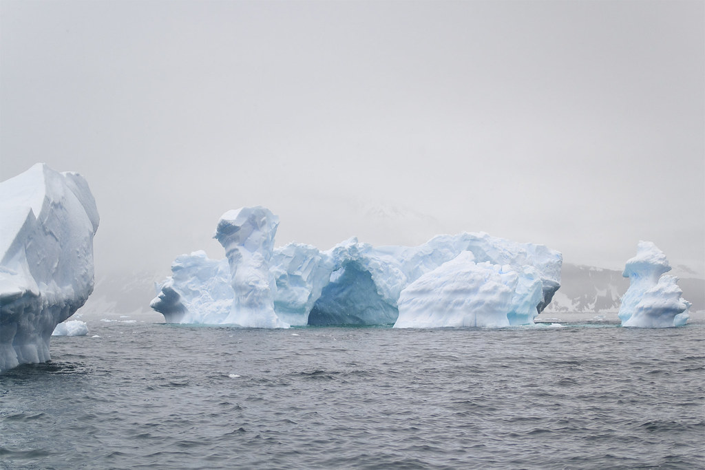 Icebergs at Cierva Cove