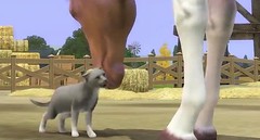 Sims 3 Pets 41