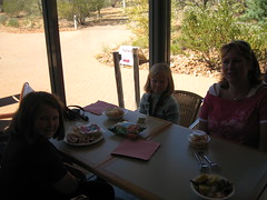 lunch at Alice Springs Desert Park
