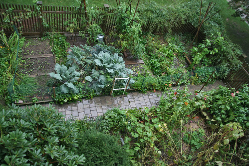 wet garden aerial