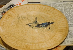 Birds on an Old Paper Plate