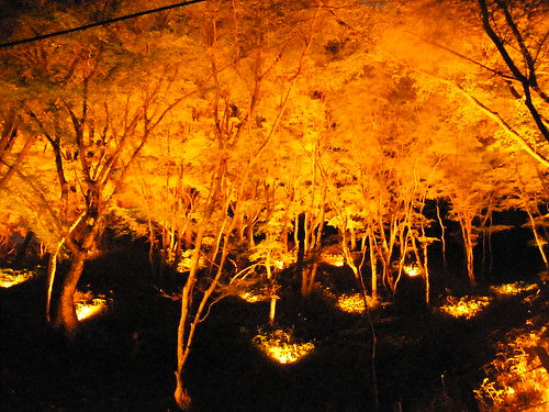 Light up at Kourankei