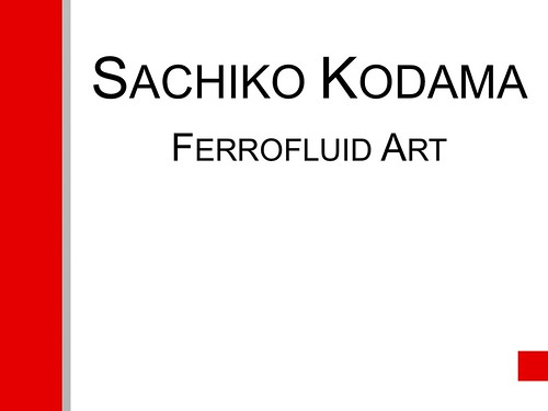 Sachiko Kodama Presentation