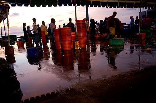 Unloading fish at Na Thon, Ko Samui's main pier.