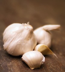 Garlic1_PP