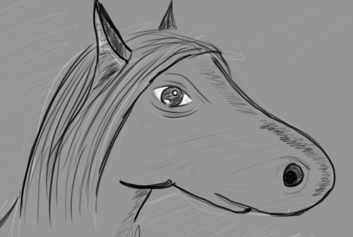 horse head sketches. June 29th sketch Horse head