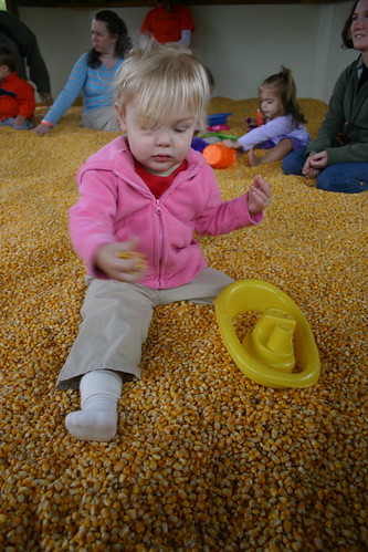 Corn play area