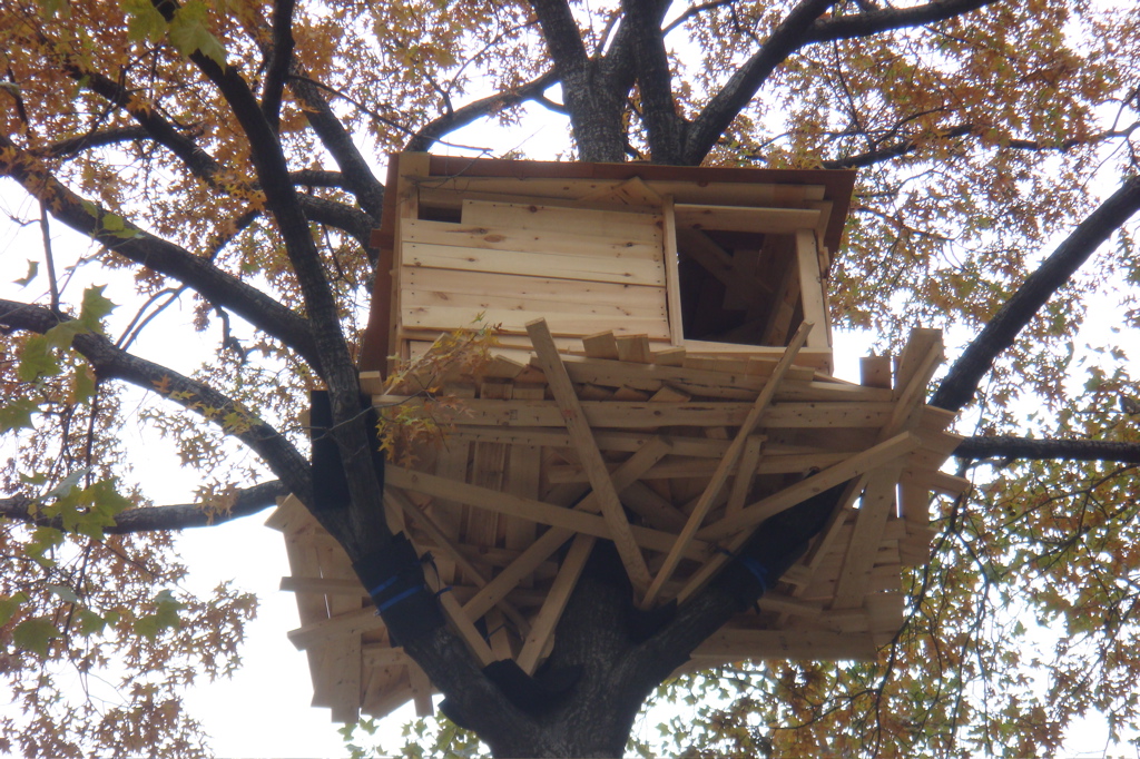 treehouse1