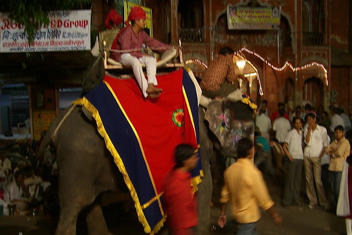 Jaipur Elephant 04