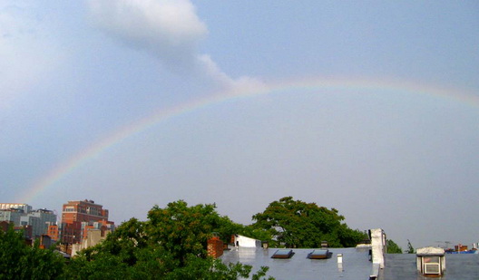 Rainbow from Henry Street Small