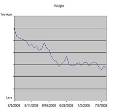 Weight Log as of July 11, 2008