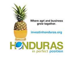 Invest in Honduras