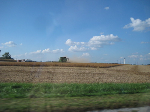 combining soybeans