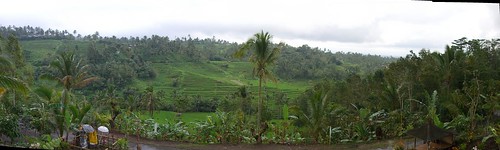 2008-09-07 Rice fields near Batu Karu ©  S Z